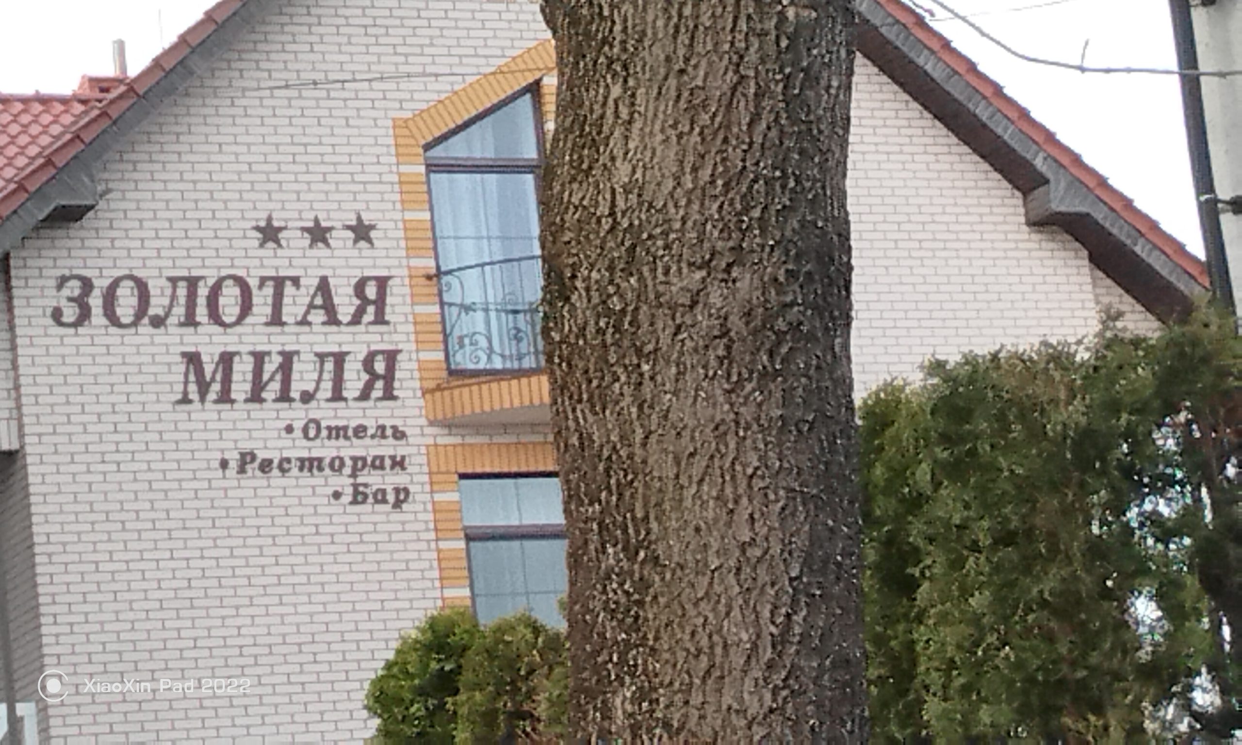 зеленоградск часть 2