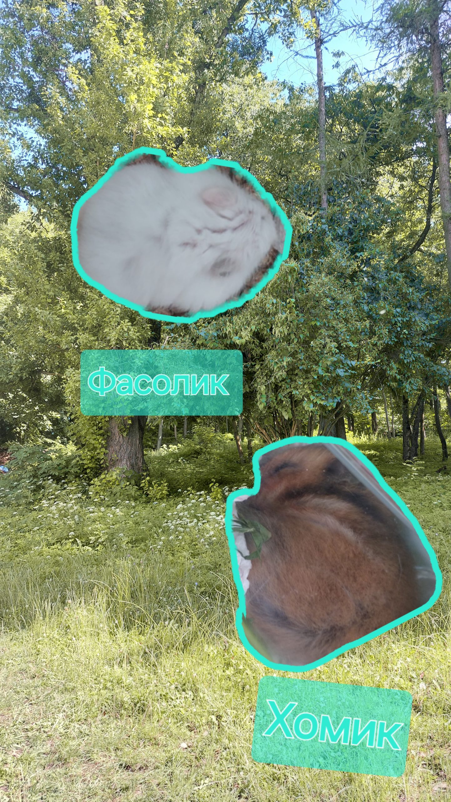 Фасолик